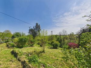 Front garden- click for photo gallery